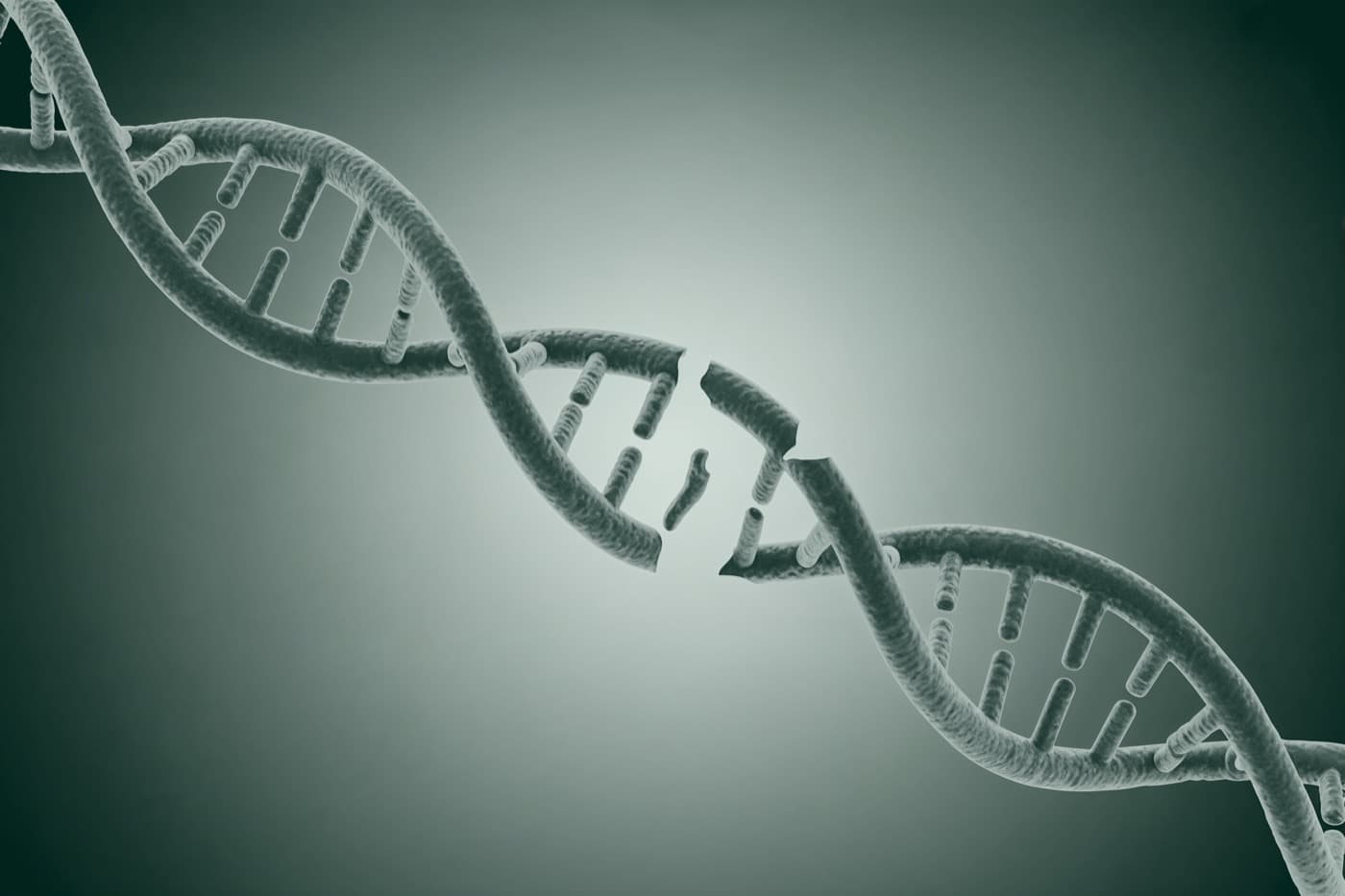 DNA damage