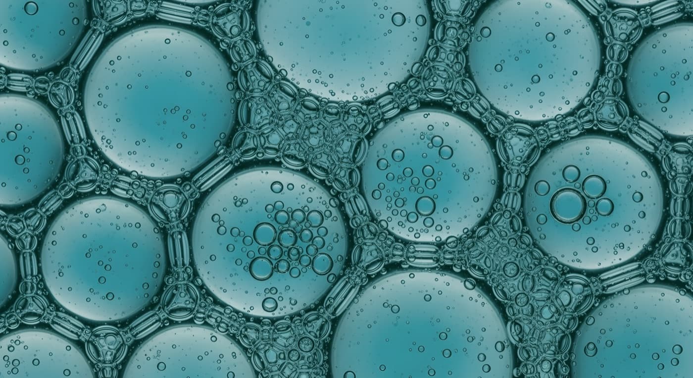 Cellular repair